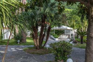 a garden with palm trees and a house at Ischia Dream Sunset in Ischia