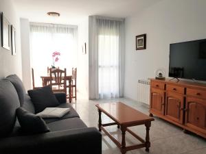 TV a/nebo společenská místnost v ubytování Apartamentos Salceda