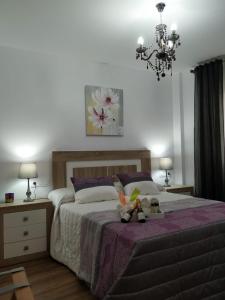 Кровать или кровати в номере Casa da Xastra