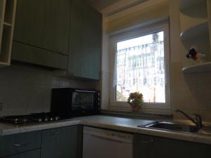 Kuchyňa alebo kuchynka v ubytovaní Apartman Iris s terasom