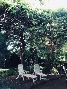 two white chairs sitting next to a tree at Appartamenti Vallecchia in Pietrasanta