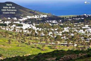 une ville sur une colline avec des palmiers et l'océan dans l'établissement Casa "GARA" Mala-Lanzarote Norte, à Mala