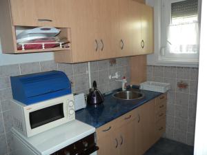 Kuchyň nebo kuchyňský kout v ubytování Holiday home in Fonyod - Balaton 38001