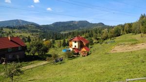 una casa en una colina en un campo verde en Zacharovany Karpaty, en Slavske