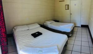 Transit Motel客房内的一张或多张床位