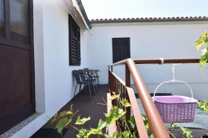 Zahrada ubytování Apartments Katica