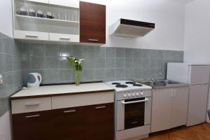 Kuchyň nebo kuchyňský kout v ubytování Apartments Katica