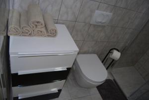 a bathroom with a toilet and towels on a counter at Vacation home Kairos in Sumartin +34 photos