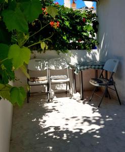 Fotografia z galérie ubytovania Apartments Butkovic v destinácii Hvar