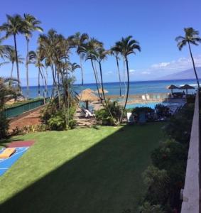 une vue sur une plage avec des palmiers et l'océan dans l'établissement Royal Kahana 119 Studio Condo, à Kahana 37 autres photos