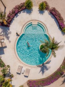 Fotografie z fotogalerie ubytování The Kasa Malindi v destinaci Malindi
