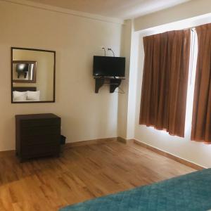 1 dormitorio con 1 cama y TV en la pared en Hotel Plaza del Arco Express en Monterrey