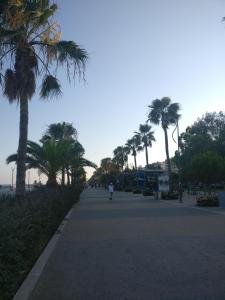 una calle con palmeras y una persona en bicicleta en Hawaii Royal Gardens, en Limassol 6 fotos más