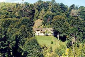 a house on a hill in the middle of a forest at Bellevue in San Carlos de Bariloche