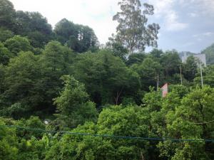 Paesaggio naturale nelle vicinanze dell'affittacamere