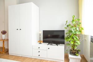 uma sala de estar com uma televisão e um armário branco em Apartman Japlenški em Delnice