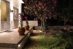 a patio with two potted plants and a tree at PHIL HOUSE in Keramoti
