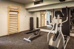 Fitness centrum a/nebo fitness zařízení v ubytování Doryssa Boutique Hotel