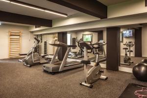 Fitness centrum a/nebo fitness zařízení v ubytování Doryssa Boutique Hotel
