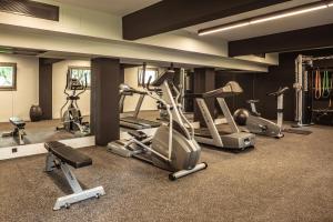 Fitness centrum a/nebo fitness zařízení v ubytování Doryssa Boutique Hotel