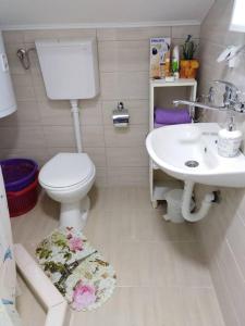 ein Bad mit einem WC und einem Waschbecken in der Unterkunft Apartman Vrdničak in Vrdnik