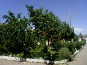 Foto dalla galleria di Nirvana Resort a Sevan