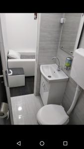 Fotografija u galeriji objekta Apartmani Pinokio u gradu Niš
