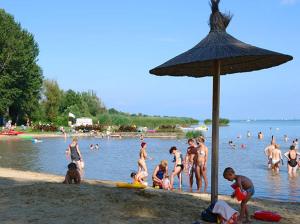 Príroda v okolí privátu