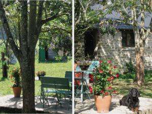 a dog sitting next to a bench and a table with flowers at 4 Collines in Hagnicourt