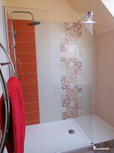 ein Bad mit einer Dusche und einem roten Handtuch in der Unterkunft Gite Lancelot du Val in Campénéac