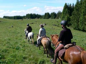 a group of people riding horses in a field at Camping de Tauves in Tauves