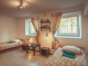 a bedroom with a bed and a desk at Downtown Forest Hostel & Camping in Vilnius
