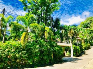 un groupe de palmiers devant une maison dans l'établissement Karon Pool Villa 卡伦3卧泳池别墅, à Karon Beach