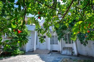 Zahrada ubytování Pospolita Guest House