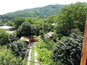uma vista superior de um pátio de comboios com árvores em Wine House KNIAZ em Sagarejo