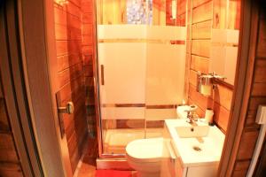 een badkamer met een douche, een toilet en een wastafel bij Casa de madera in A Coruña +4 foto's