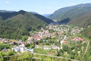 una pequeña ciudad en un valle en las montañas en Pension Grasl en Hohenberg