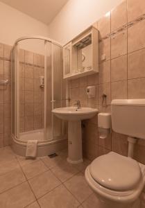een badkamer met een toilet, een wastafel en een douche bij Hotel Park Drniš in Drniš