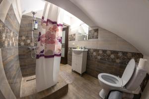 a bathroom with a shower and a toilet and a sink at Casa de vacanta Mirela in Novaci-Străini