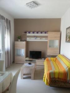 TV a/nebo společenská místnost v ubytování Apartment Nehaj