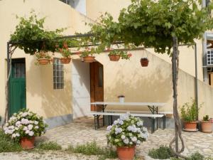 eine Terrasse mit einem Tisch und Topfpflanzen in der Unterkunft Apartment Slavica in Lozovac