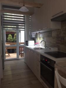 Kuchnia lub aneks kuchenny w obiekcie Apartmán nad Imperiálem