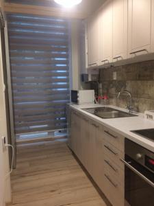 Kuchnia lub aneks kuchenny w obiekcie Apartmán nad Imperiálem