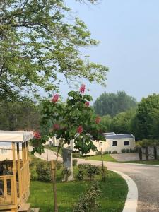 a tree with pink flowers on it next to a road at Domaine du Blanc Pignon in La Calotterie