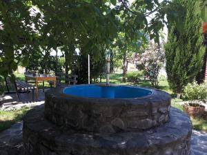 a stone fountain in the middle of a yard at Shaloshvili's Cellar Hotel in Shilda