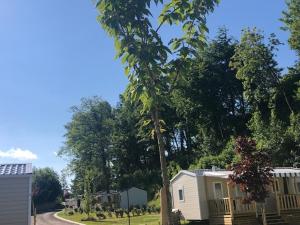 a palm tree in front of a white house at Domaine du Blanc Pignon in La Calotterie