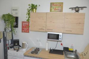 uma cozinha com um lavatório e um micro-ondas no balcão em Apartment Demel em Viena