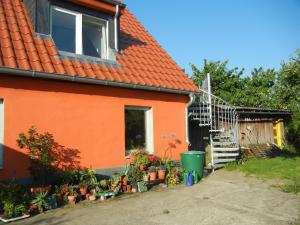 Ein orangenes Haus mit einem Haufen Pflanzen davor. in der Unterkunft Kranichruf in Schöneberg