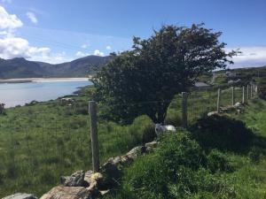 Paesaggio naturale nelle vicinanze del bed & breakfast