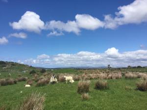 Paesaggio naturale nelle vicinanze del bed & breakfast